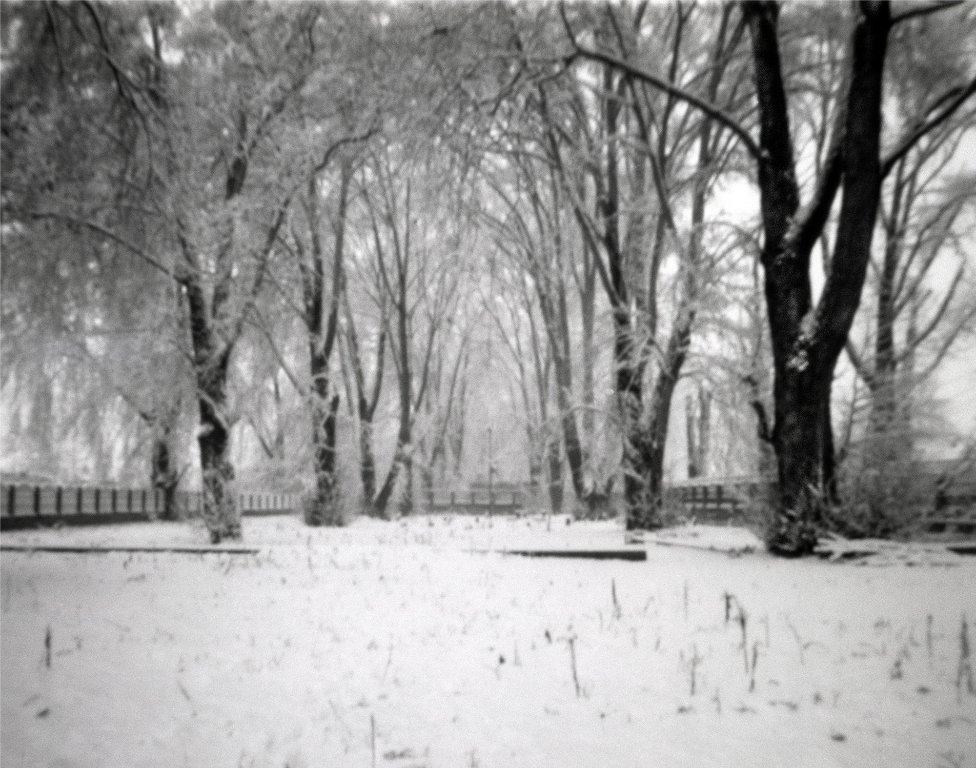 /portfolio_submission/2. Cemetery.jpg